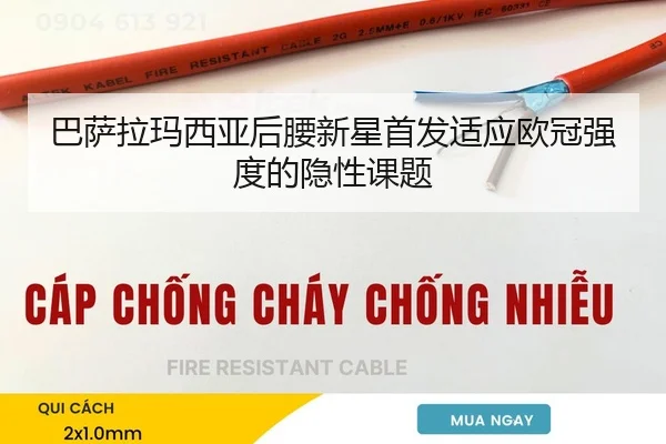 ba-sa-la-ma-xi-ya-hou-yao-xin-xing-shou-fa-shi-ying-ou-guan-qiang-du-de-yin-xing-ke-ti-2-511.jpg